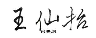 骆恒光王仙抬行书个性签名怎么写
