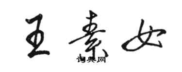 骆恒光王素女行书个性签名怎么写