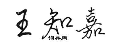 骆恒光王知嘉行书个性签名怎么写