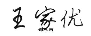 骆恒光王家优行书个性签名怎么写
