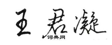 骆恒光王君凝行书个性签名怎么写