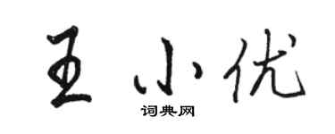 骆恒光王小优行书个性签名怎么写