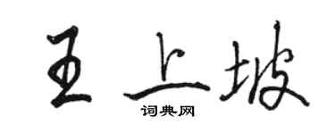 骆恒光王上坡行书个性签名怎么写