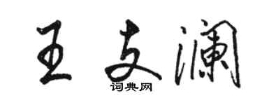 骆恒光王支澜行书个性签名怎么写
