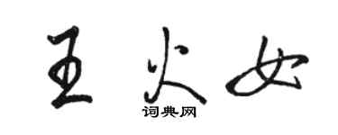 骆恒光王火女行书个性签名怎么写