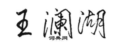 骆恒光王澜湖行书个性签名怎么写
