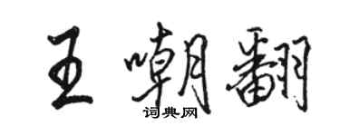 骆恒光王嘲翻行书个性签名怎么写