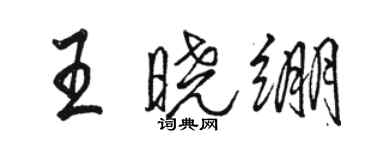 骆恒光王晓绷行书个性签名怎么写
