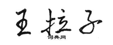 骆恒光王拉子行书个性签名怎么写