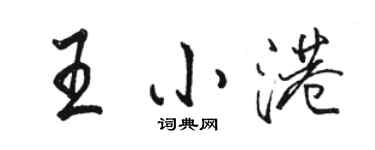 骆恒光王小港行书个性签名怎么写