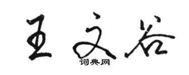 骆恒光王文谷行书个性签名怎么写