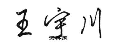骆恒光王宇川行书个性签名怎么写