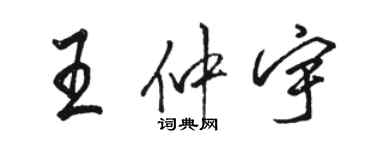 骆恒光王仲宇行书个性签名怎么写