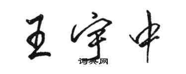 骆恒光王宇中行书个性签名怎么写
