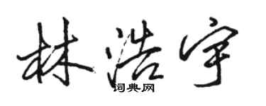 骆恒光林浩宇行书个性签名怎么写