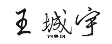 骆恒光王城宇行书个性签名怎么写