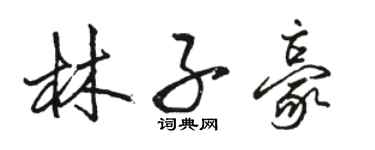 骆恒光林子豪行书个性签名怎么写