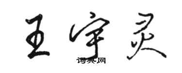 骆恒光王宇灵行书个性签名怎么写