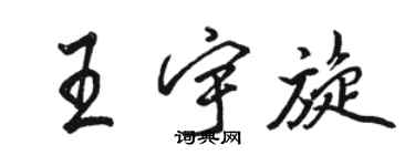 骆恒光王宇旋行书个性签名怎么写