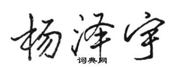骆恒光杨泽宇行书个性签名怎么写