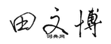 骆恒光田文博行书个性签名怎么写