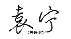 骆恒光袁宁行书个性签名怎么写