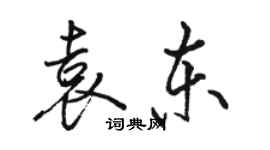 骆恒光袁东行书个性签名怎么写