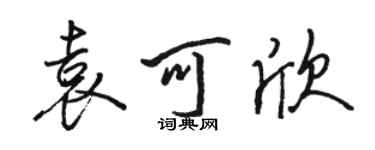 骆恒光袁可欣行书个性签名怎么写