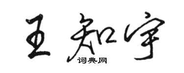 骆恒光王知宇行书个性签名怎么写