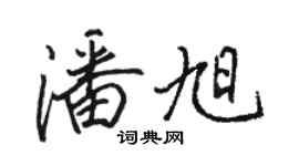 骆恒光潘旭行书个性签名怎么写
