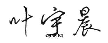 骆恒光叶宇晨行书个性签名怎么写