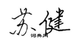 骆恒光苏健行书个性签名怎么写