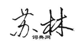 骆恒光苏林行书个性签名怎么写