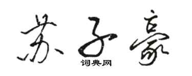 骆恒光苏子豪行书个性签名怎么写