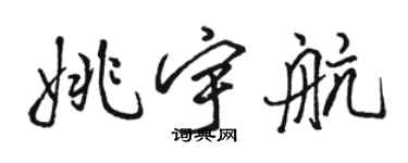 骆恒光姚宇航行书个性签名怎么写