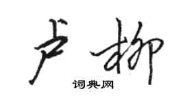 骆恒光卢柳行书个性签名怎么写