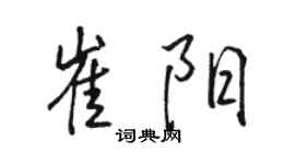 骆恒光崔阳行书个性签名怎么写