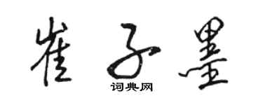 骆恒光崔子墨行书个性签名怎么写