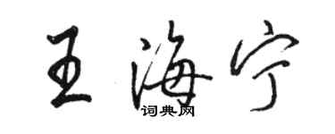 骆恒光王海宁行书个性签名怎么写