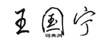 骆恒光王国宁行书个性签名怎么写