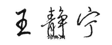 骆恒光王静宁行书个性签名怎么写