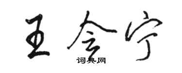骆恒光王会宁行书个性签名怎么写