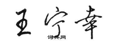 骆恒光王宁幸行书个性签名怎么写