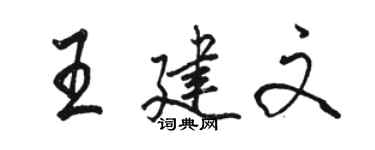 骆恒光王建文行书个性签名怎么写