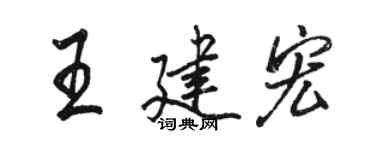 骆恒光王建宏行书个性签名怎么写