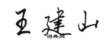 骆恒光王建山行书个性签名怎么写