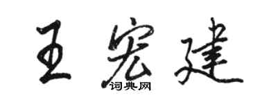 骆恒光王宏建行书个性签名怎么写