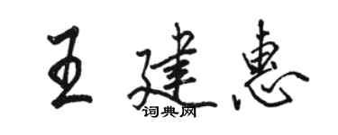 骆恒光王建惠行书个性签名怎么写