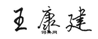 骆恒光王康建行书个性签名怎么写