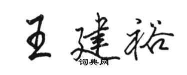 骆恒光王建裕行书个性签名怎么写